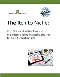 Itch to Niche cover - updated